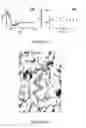 Fig. 06 - Alpha helical mimics, their uses and methods for their production