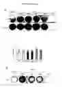 Fig. 03 - Compositions and Methods for Increasing Osteoblast Cell Differentiation and Bone Generation