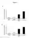 Fig. 04 - Compositions and Methods for Increasing Osteoblast Cell Differentiation and Bone Generation