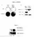 Fig. 07 - Compositions and Methods for Increasing Osteoblast Cell Differentiation and Bone Generation
