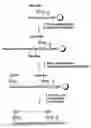 Fig. 01 - Backbone Cyclized Melanocortin Stimulating Hormone (Alpha Msh) Analogs