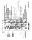 Fig. 08 - Methods and compositions for the inhibition of HIV-1 replication