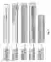 Fig. 04 - Novel Apo2L and IL-24 Polypeptides, Polynucleotides, and Methods of Their Use