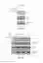 Fig. 12 - Methods and compositions for treating and preventing neurologic disorders