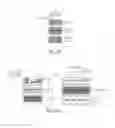 Fig. 13 - Methods and compositions for treating and preventing neurologic disorders
