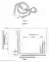 Fig. 02 - TGF-Alpha POLYPEPTIDES, FUNCTIONAL FRAGMENTS AND METHODS OF USE THEREFOR