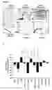 Fig. 02 - Bioactive parstatin peptides and methods of use