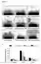 Fig. 03 - Bioactive parstatin peptides and methods of use