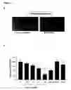 Fig. 06 - Bioactive parstatin peptides and methods of use