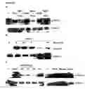 Fig. 09 - Bioactive parstatin peptides and methods of use
