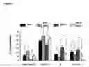 Fig. 11 - Bioactive parstatin peptides and methods of use
