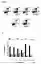 Fig. 12 - Bioactive parstatin peptides and methods of use