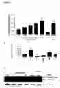 Fig. 13 - Bioactive parstatin peptides and methods of use