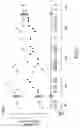 Fig. 04 - PEPTIDE SPECIFICITY OF ANTI-MYELIN BASIS PROTEIN AND THE ADMINISTRATION OF MYELIN BASIC PROTEIN PEPTIDES TO MULTIPLE SCLEROSIS PATIENTS