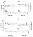 Fig. 05 - PEPTIDE SPECIFICITY OF ANTI-MYELIN BASIS PROTEIN AND THE ADMINISTRATION OF MYELIN BASIC PROTEIN PEPTIDES TO MULTIPLE SCLEROSIS PATIENTS