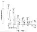 Fig. 17 - PEPTIDE SPECIFICITY OF ANTI-MYELIN BASIS PROTEIN AND THE ADMINISTRATION OF MYELIN BASIC PROTEIN PEPTIDES TO MULTIPLE SCLEROSIS PATIENTS