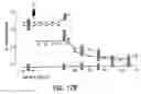 Fig. 25 - PEPTIDE SPECIFICITY OF ANTI-MYELIN BASIS PROTEIN AND THE ADMINISTRATION OF MYELIN BASIC PROTEIN PEPTIDES TO MULTIPLE SCLEROSIS PATIENTS