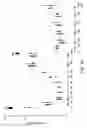 Fig. 26 - PEPTIDE SPECIFICITY OF ANTI-MYELIN BASIS PROTEIN AND THE ADMINISTRATION OF MYELIN BASIC PROTEIN PEPTIDES TO MULTIPLE SCLEROSIS PATIENTS