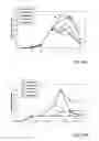 Fig. 12 - Stratification