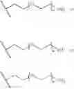 Fig. 89 - End-modified poly(beta-amino esters) and uses thereof