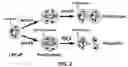 Fig. 03 - NOVEL RNA INTERFERENCE METHODS USING DNA-RNA DUPLEX CONSTRUCTS