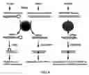 Fig. 05 - NOVEL RNA INTERFERENCE METHODS USING DNA-RNA DUPLEX CONSTRUCTS