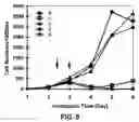 Fig. 06 - NOVEL RNA INTERFERENCE METHODS USING DNA-RNA DUPLEX CONSTRUCTS