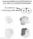 Fig. 01 - Inhibiting Gene Expression with dsRNA