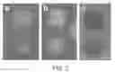 Fig. 03 - Inhibiting Gene Expression with dsRNA