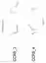 Fig. 07 - Multi-targeting short interfering RNAs