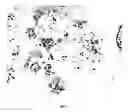 Fig. 03 - Methods of modulating apoptosis and platelet production using variants of cytochrome c