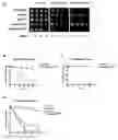 Fig. 01 - Induction of differential stress resistance and uses thereof