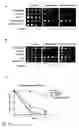 Fig. 11 - Induction of differential stress resistance and uses thereof