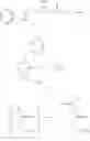 Fig. 32 - Phosphagen synthesis
