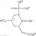 Fig. 46 - Phosphagen synthesis