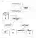 Fig. 10 - Oral contraceptive regimen