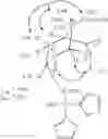 Fig. 20 - Soft anticholinergic zwitterions