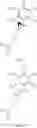 Fig. 21 - Cyclopropyl amine derivatives