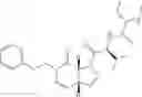 Fig. 33 - Inhibitors of Iap