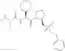 Fig. 58 - Inhibitors of Iap