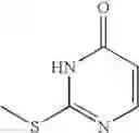 Fig. 22 - NOVEL PYRIMIDINE DERIVATIVES 698
