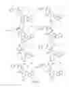 Fig. 07 - METHODS RELATING TO THE TREATMENT OF FIBROTIC DISORDERS