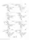 Fig. 181 - METHODS RELATING TO THE TREATMENT OF FIBROTIC DISORDERS