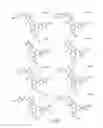 Fig. 203 - METHODS RELATING TO THE TREATMENT OF FIBROTIC DISORDERS