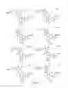 Fig. 206 - METHODS RELATING TO THE TREATMENT OF FIBROTIC DISORDERS
