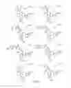 Fig. 207 - METHODS RELATING TO THE TREATMENT OF FIBROTIC DISORDERS