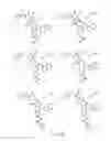 Fig. 24 - METHODS RELATING TO THE TREATMENT OF FIBROTIC DISORDERS