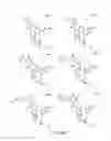 Fig. 244 - METHODS RELATING TO THE TREATMENT OF FIBROTIC DISORDERS
