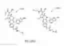 Fig. 247 - METHODS RELATING TO THE TREATMENT OF FIBROTIC DISORDERS
