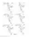 Fig. 31 - METHODS RELATING TO THE TREATMENT OF FIBROTIC DISORDERS